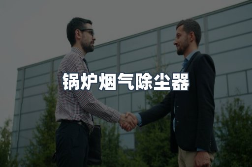 锅炉烟气除尘器
